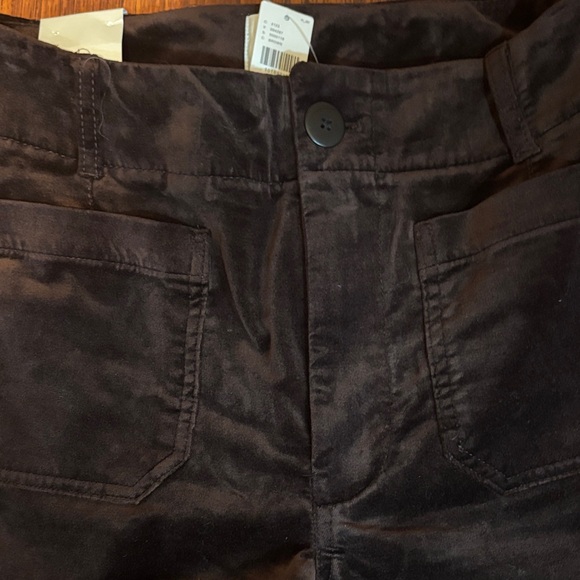 Maeve Colette full length velvet pant in fudge brownie - Picture 7 of 14